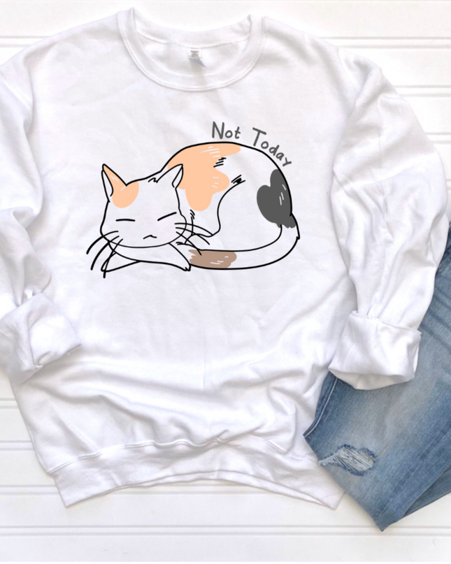 Not Today Sleepy Cat