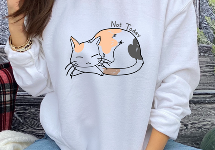 Not Today Sleeping Cat